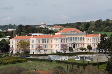Instituto Superior de Agronomia