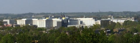 马斯特里赫特大学