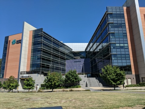麦考瑞大学