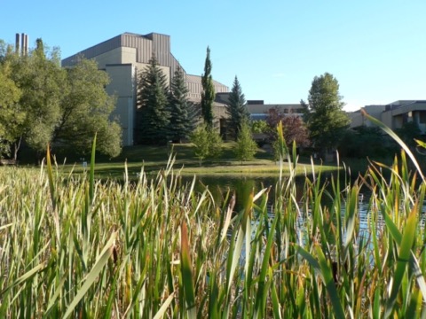 皇家山大学