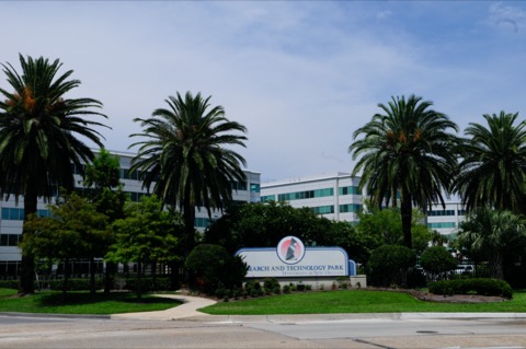 新奥尔良大学