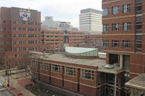 Perelman School of Medicine at the University of Pennsylvania