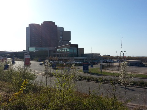 石溪大学