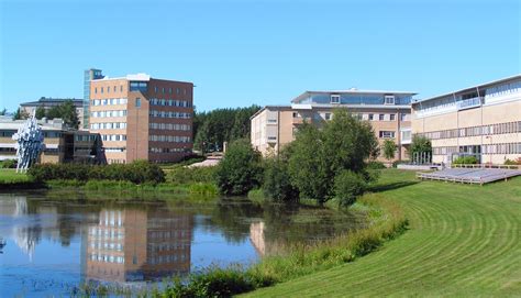 乌梅奥大学