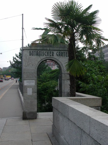 伯尔尼大学