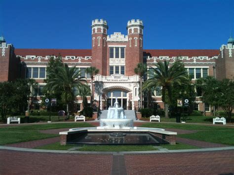 佛罗里达大学