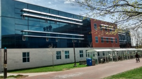 圭尔夫大学