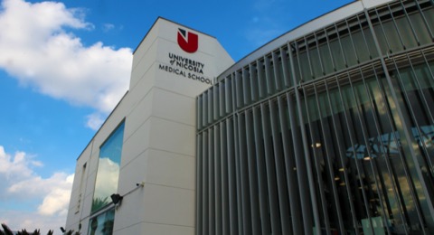 尼科西亚大学