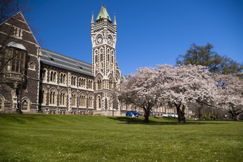 奥塔哥大学