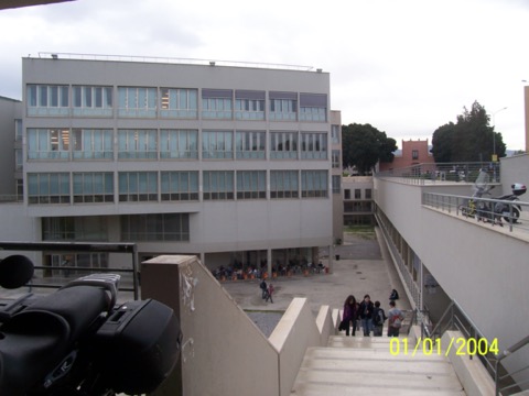 巴勒莫大学