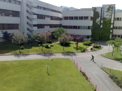 萨莱诺大学