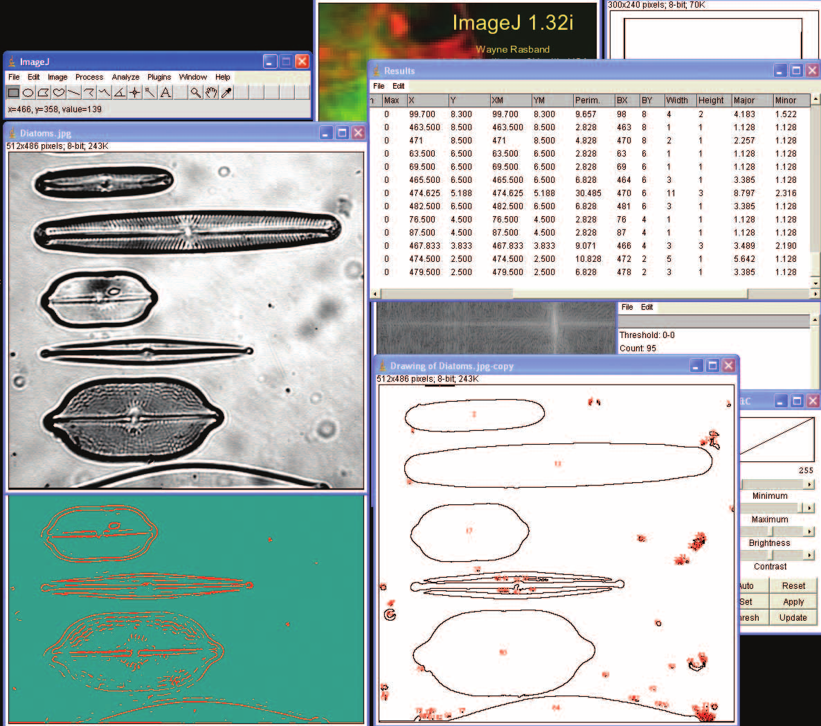 wcif imagej software